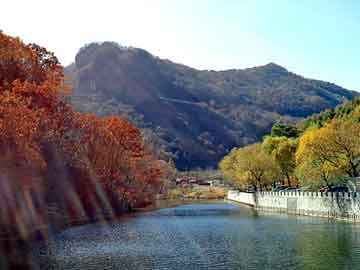 新澳天天开奖资料大全旅游团，站群和泛目录